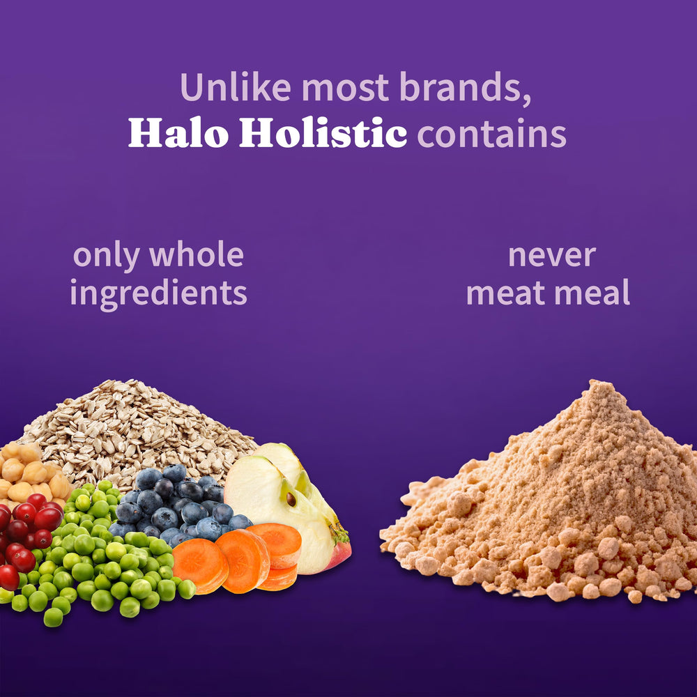 Halo Holístico Vegano para perros, DHA-omega-3 destacado, apoyo para piel y pelaje.