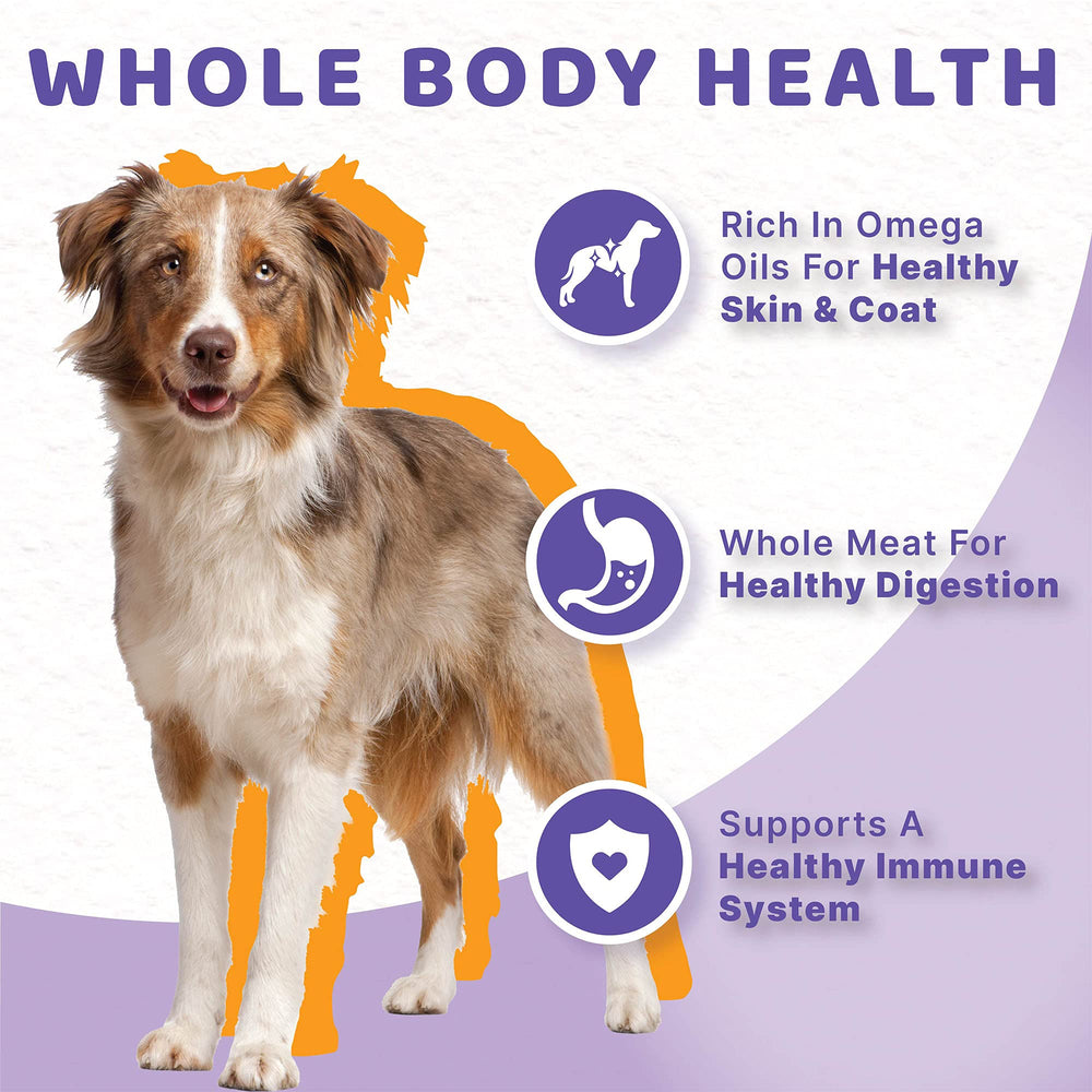 Halo Healthy Grains sabor carne, ideal para perros adultos exigentes.