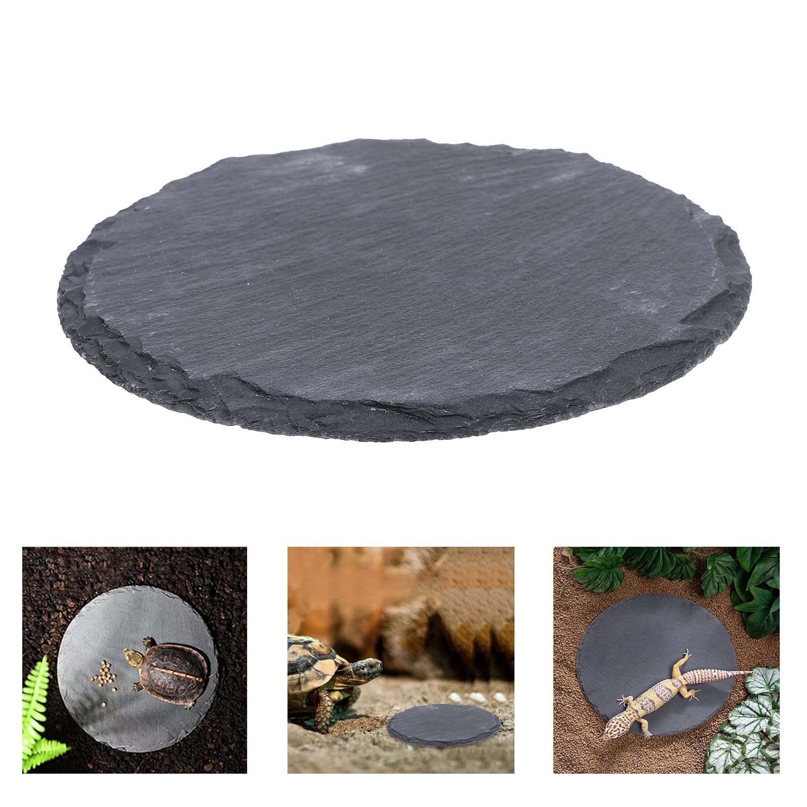 HALONTIN plato reptil diseñado para acuarios y tanques, uso versátil.