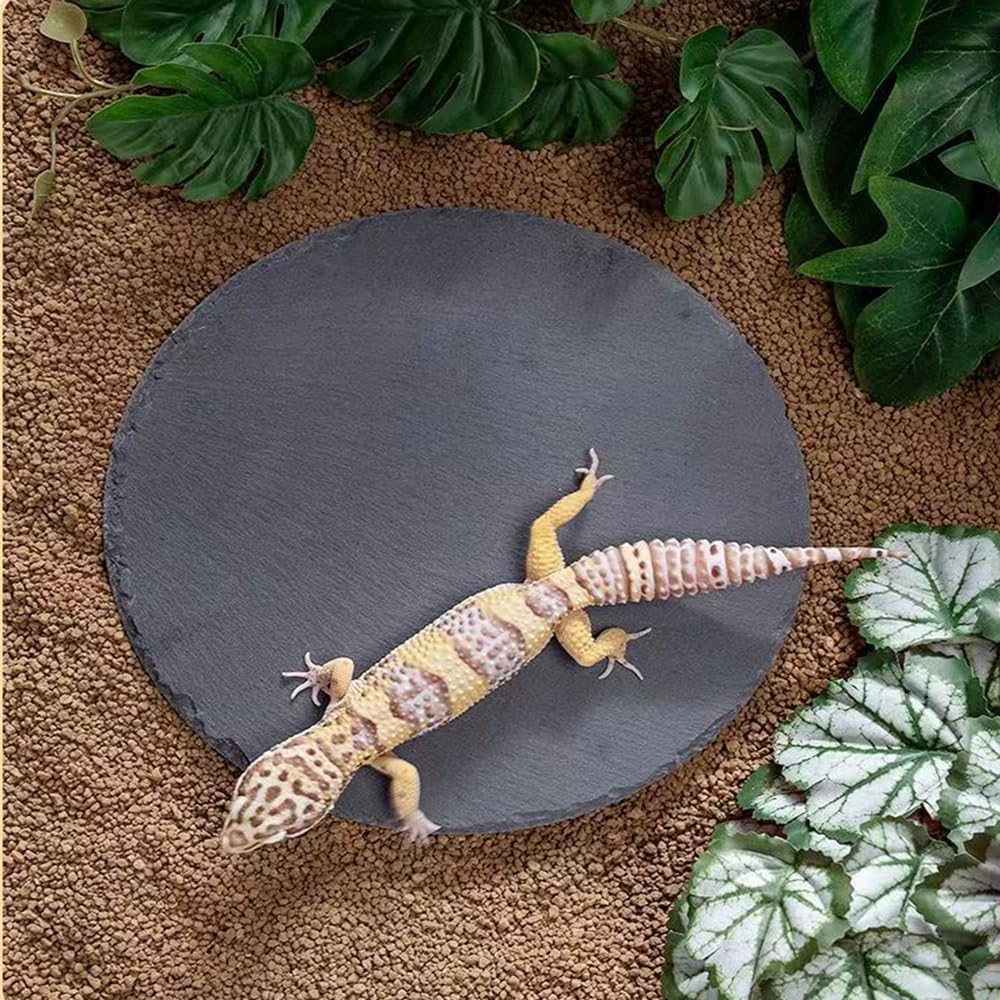 HALONTIN rocas de pizarra para reptiles absorben humedad y ayudan a la hidratación.