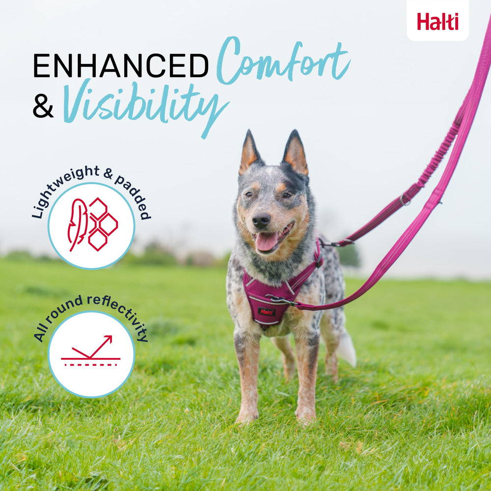 Halti Anatomy: longitud ajustable hasta 2 m para diferentes entornos.