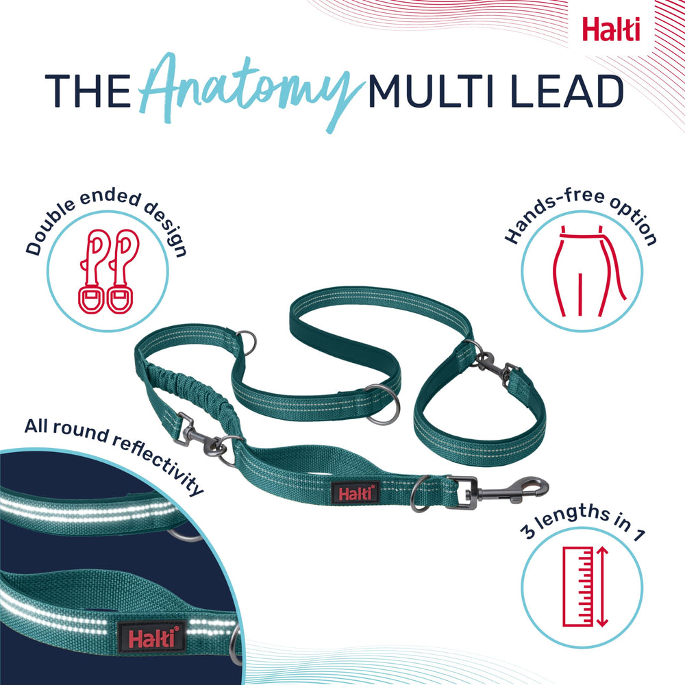 Halti Anatomy amortiguacion-bungee reduce tirones durante caminatas