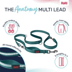 Halti Anatomy amortiguacion-bungee reduce tirones durante caminatas