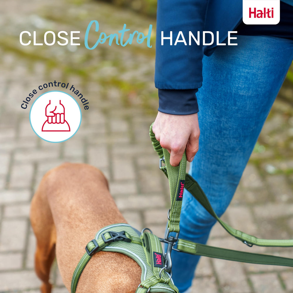 Halti Anatomy: diseño para perros de hasta 55 kg con control seguro.