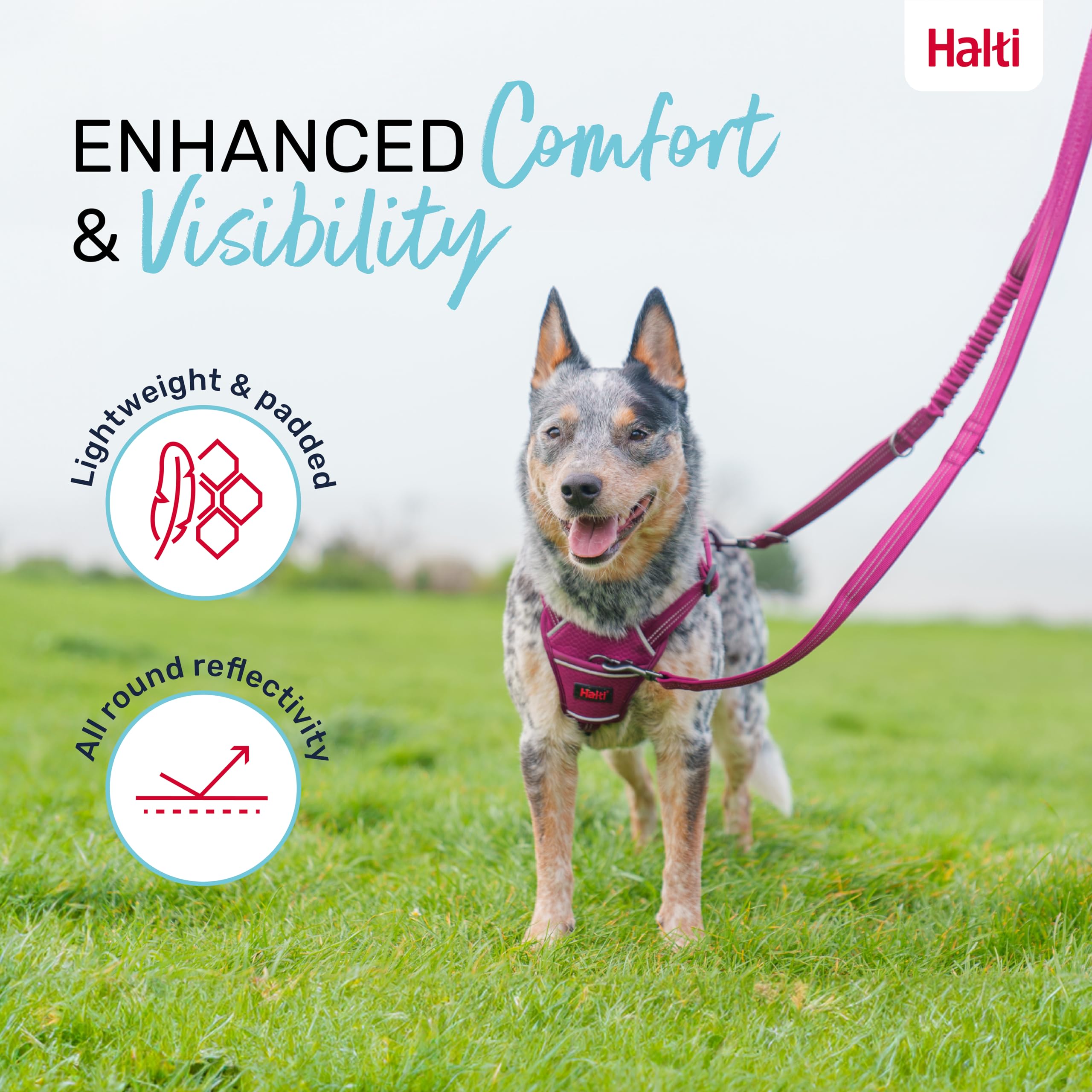 Halti Anatomy: longitud ajustable hasta 2 m para distintos entornos.