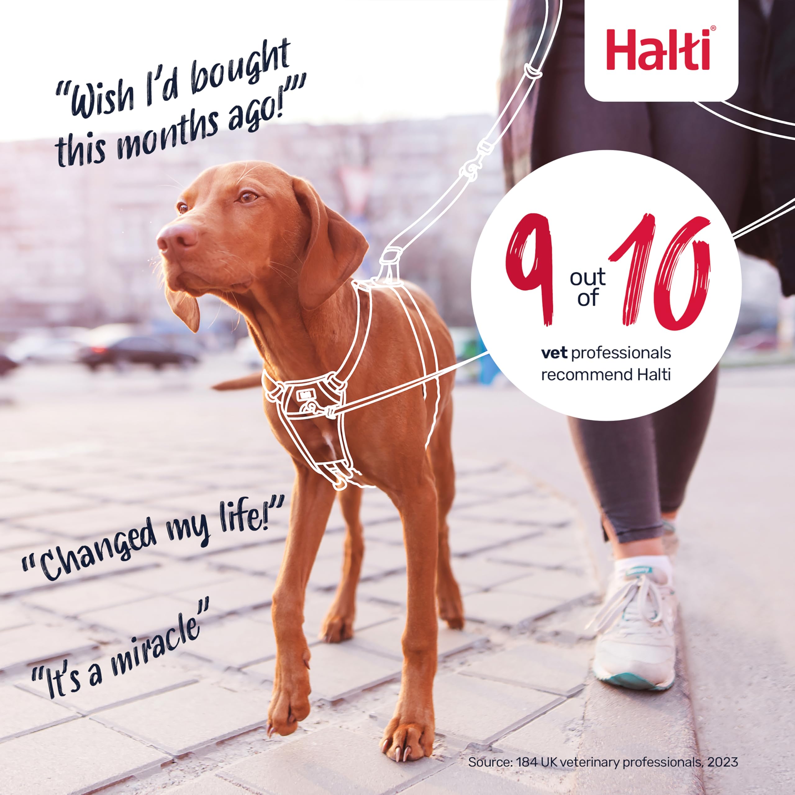 Ideal para perros medianos durante caminatas diarias con mayor seguridad.
