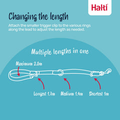 Halti Training Leash: doble clip para dos puntos de conexión en paseos.
