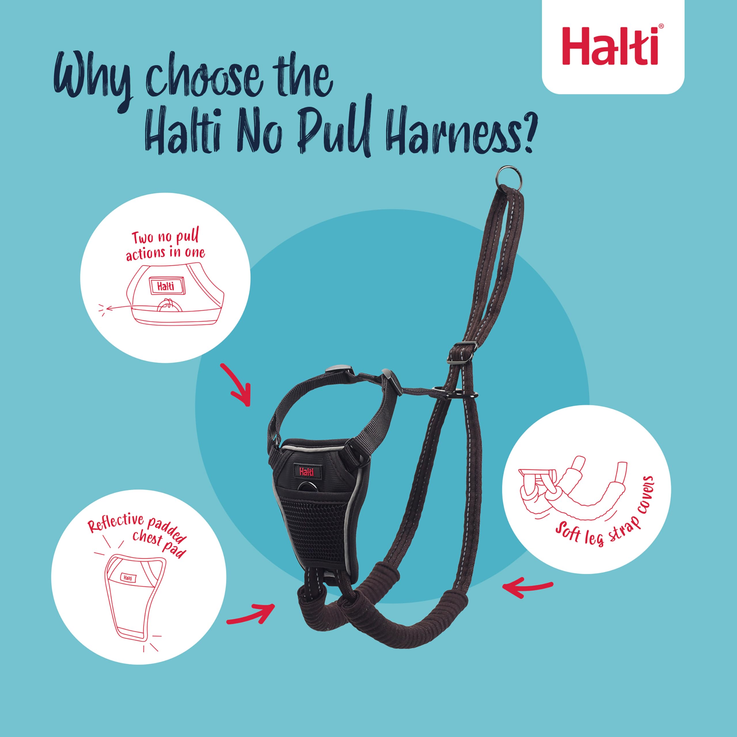 Halti No Pull Harness panel reflector: mayor visibilidad en poca luz
