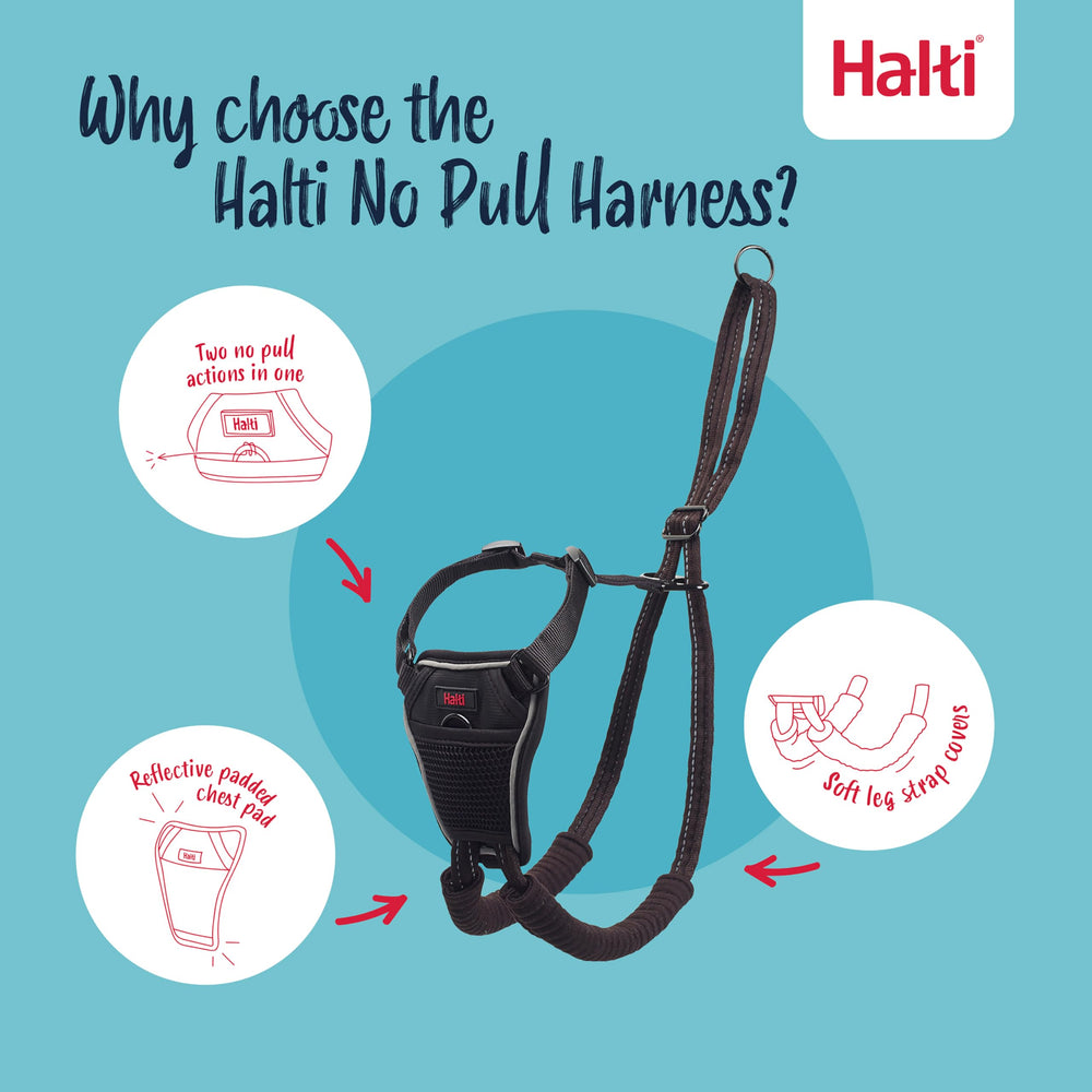 Halti No Pull Harness panel reflector: mayor visibilidad en poca luz