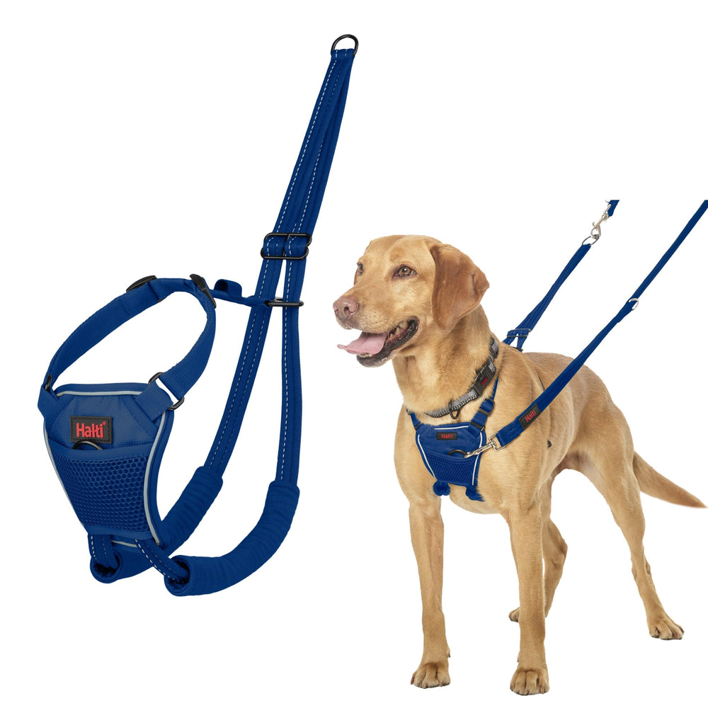 Halti Sin Tirones arnés con control frontal para paseos más tranquilos.
