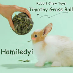 Bola de masticación Hamiledyi de heno de timoteo para gerbil, estimulación y juego.