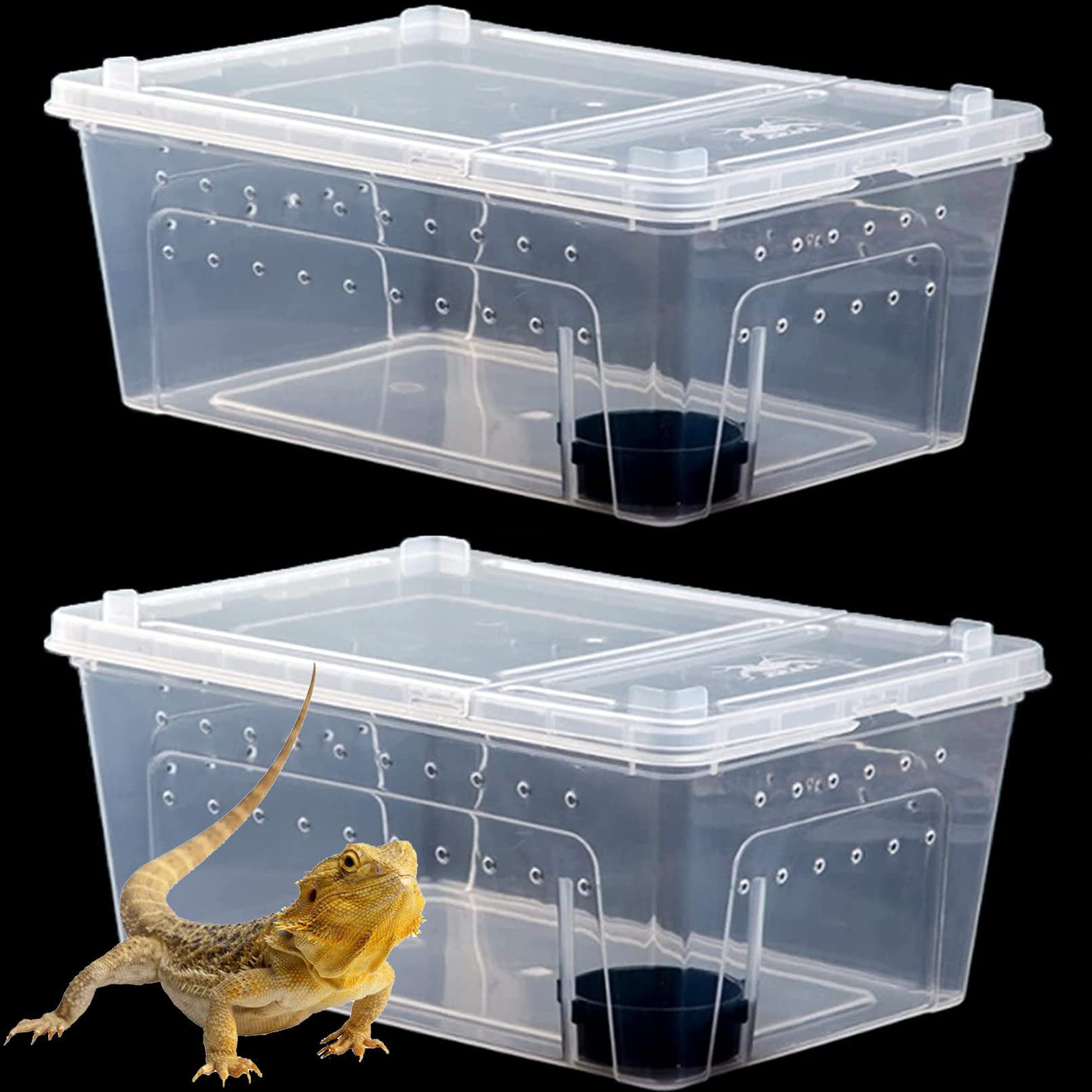 Hamiledyi caja para reptiles transparente para observar conductas y transporte.