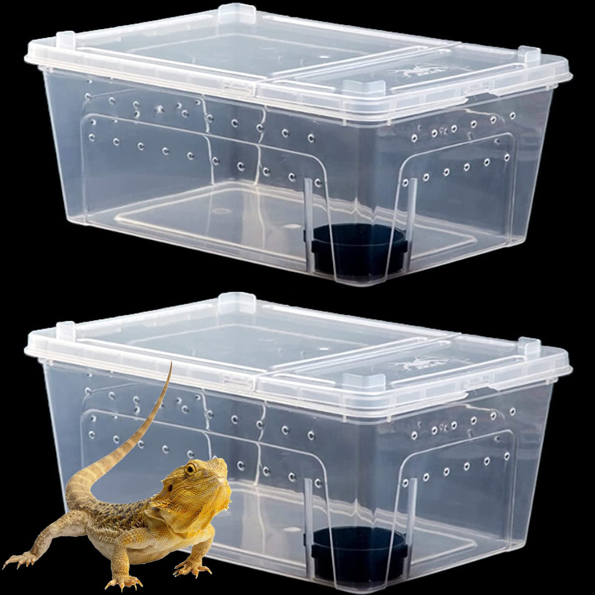 Hamiledyi caja para reptiles transparente para observar conductas y transporte.