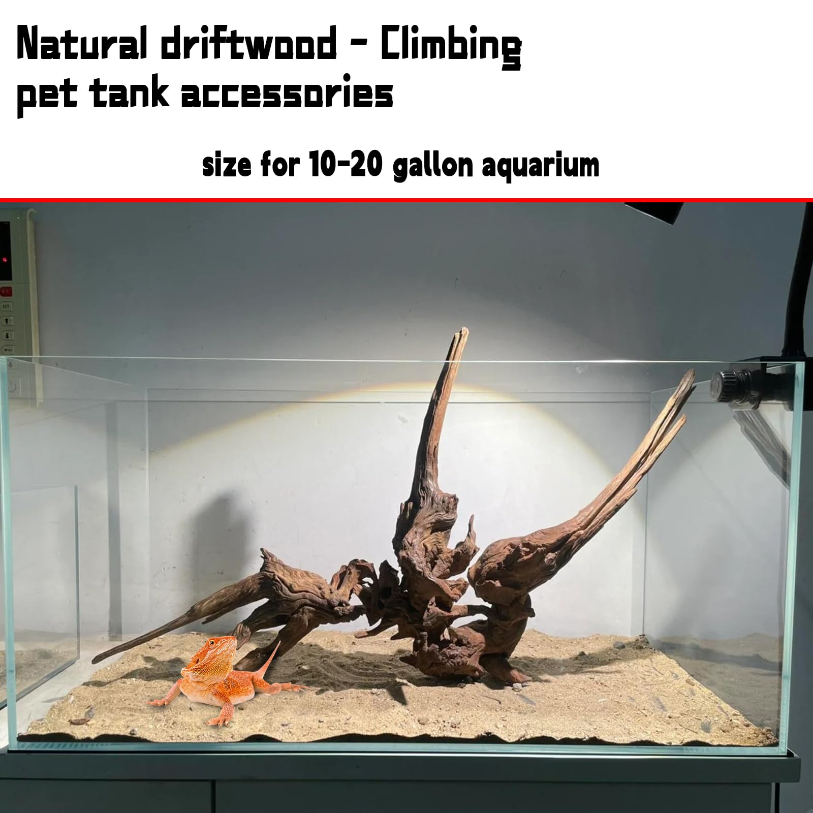 Hamiledyi Deriva natural para acuario, añade textura realista y refugio para reptiles.