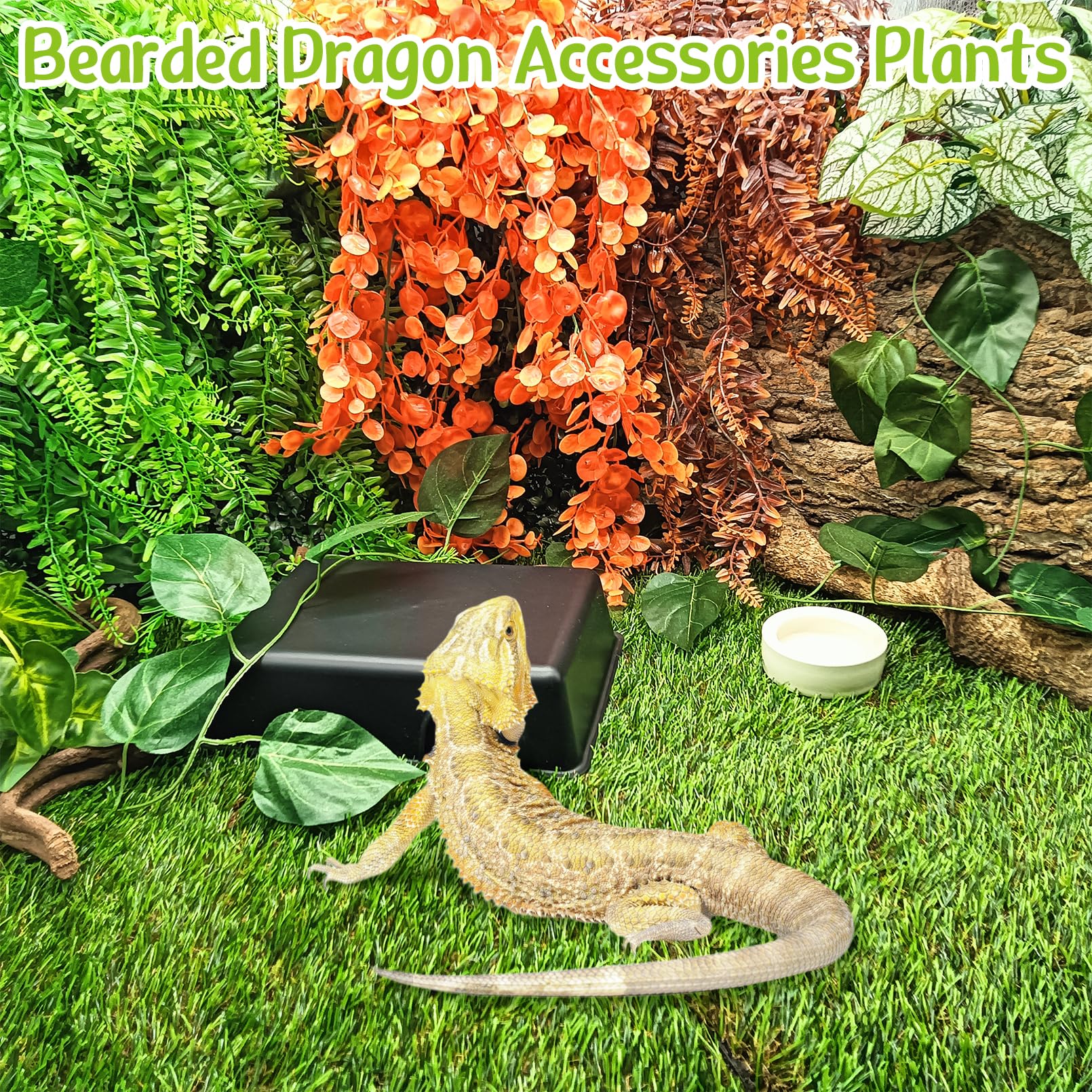 Instalación rápida con ventosas para terrario seguro.