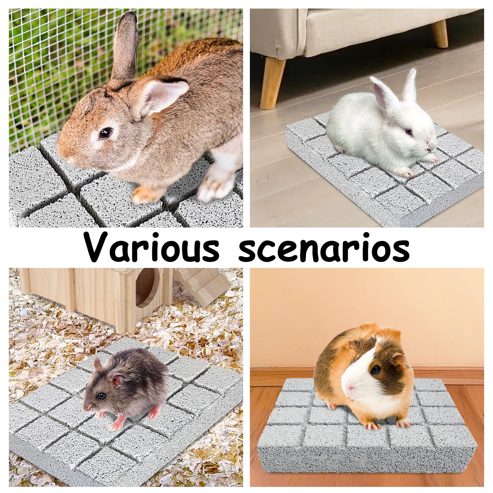 Hamiledyi juguete mordedor hamster: masticación segura para dientes