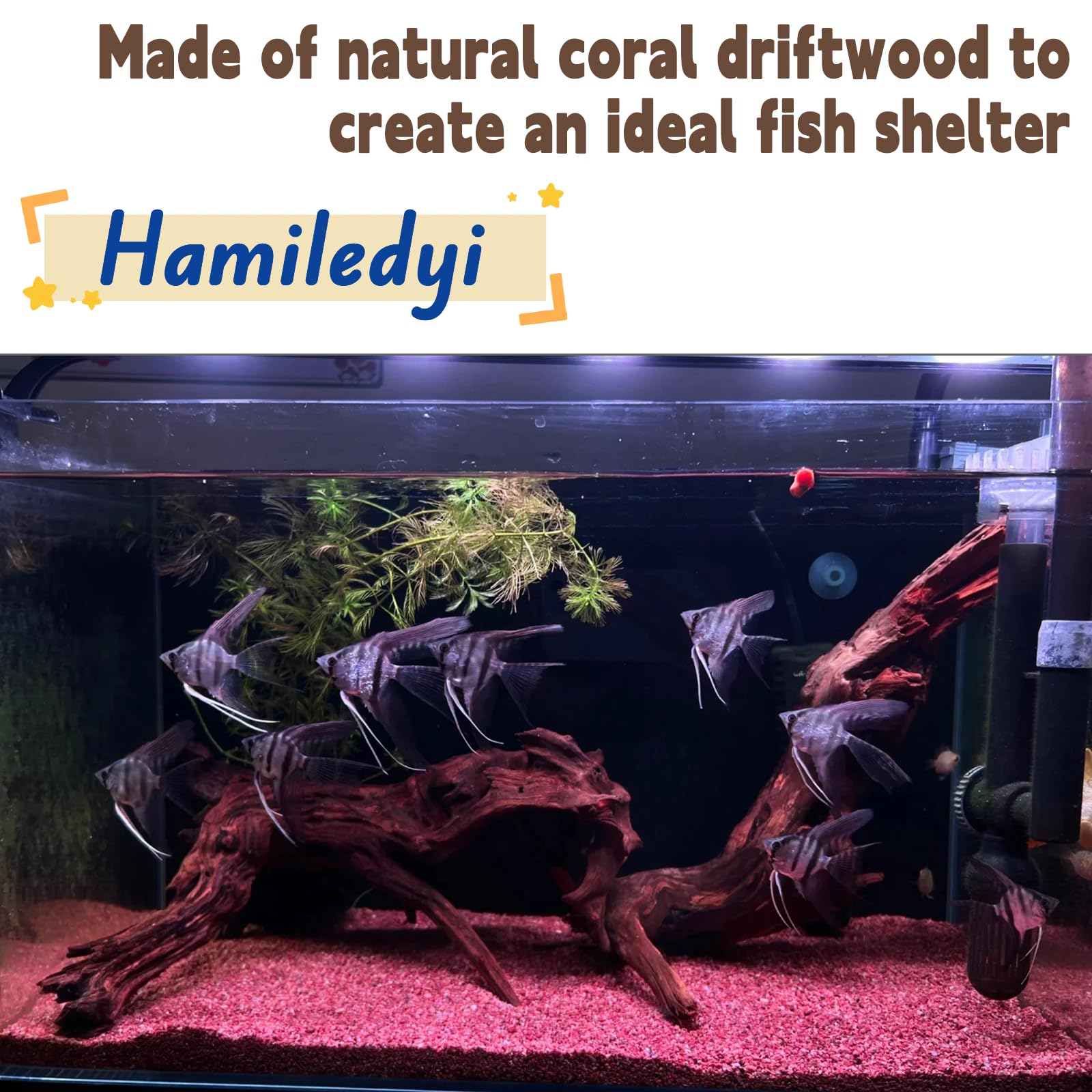 Hamiledyi Madera de deriva natural, perfecta para terrarios y espacios verdes.