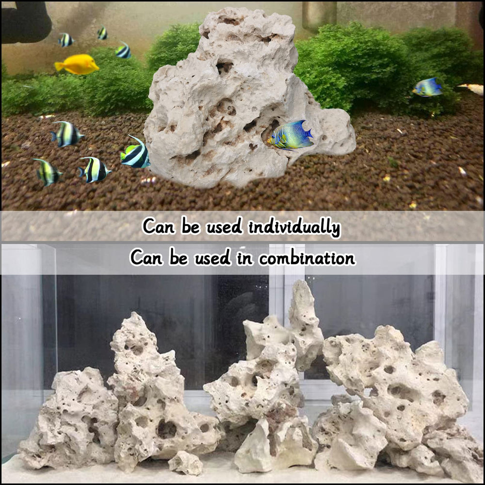 Hamiledyi piedras para musgos y plantas, soporte de crecimiento