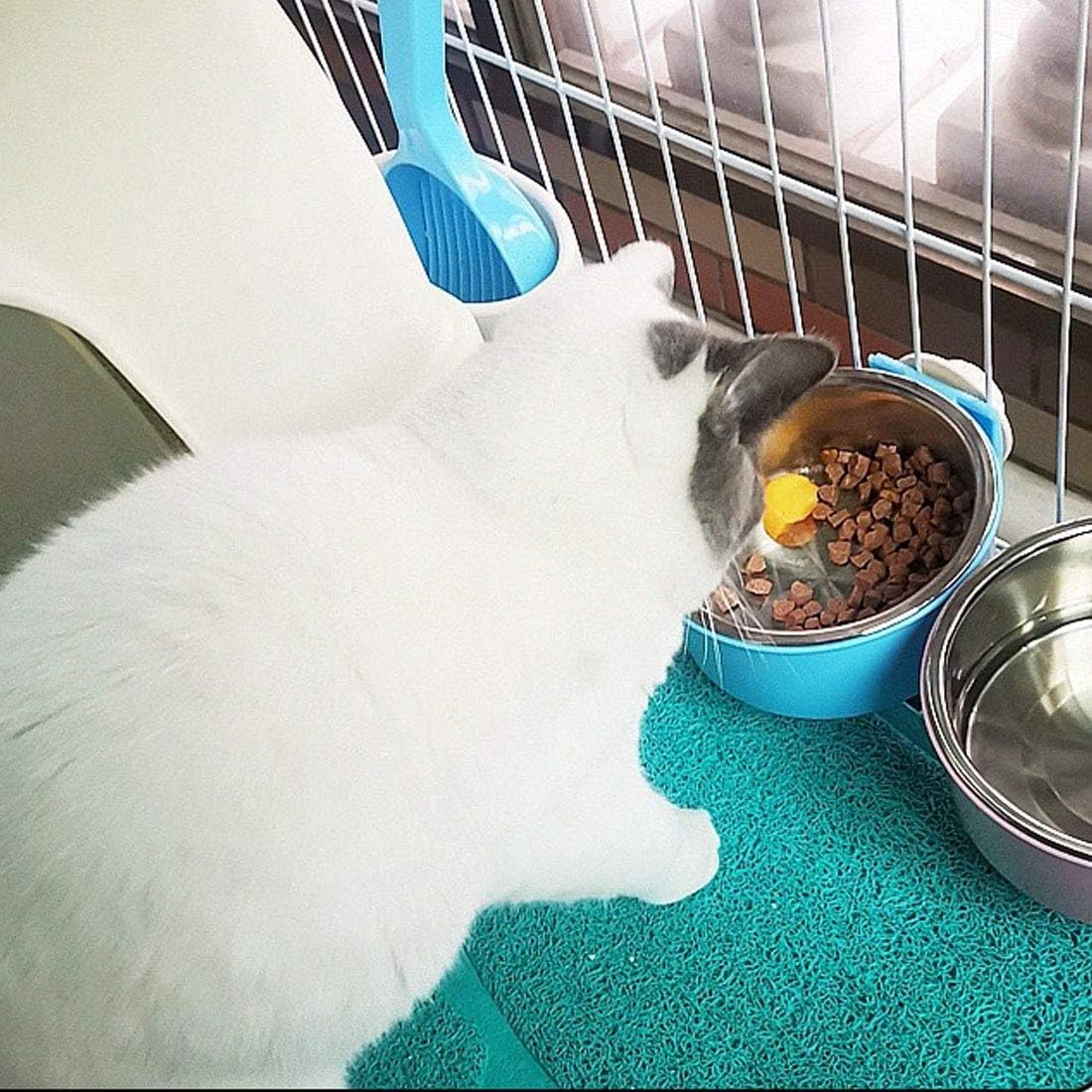Hamiledyi tamaño ideal para perros medianos, uso como fuente y comedor