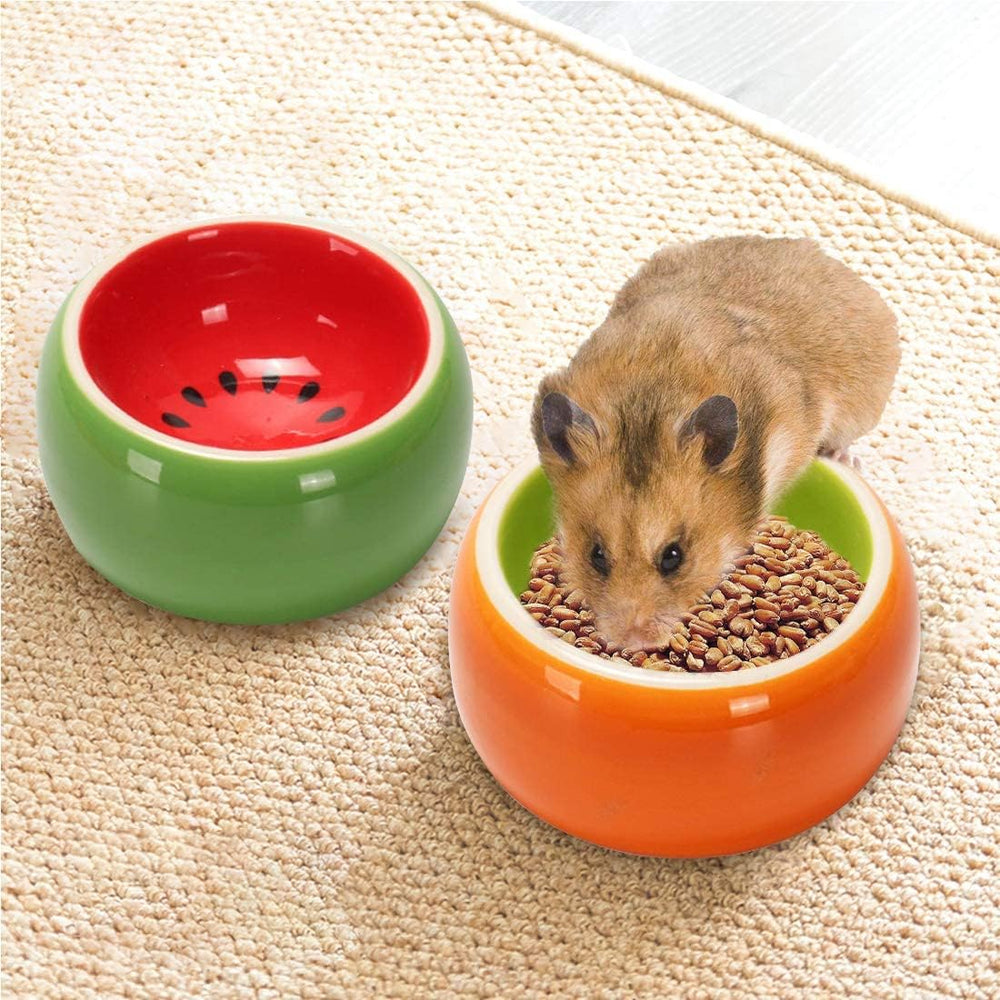 Hamiledyi tazón cerámico diseño compacto, ideal para mascotas pequeñas