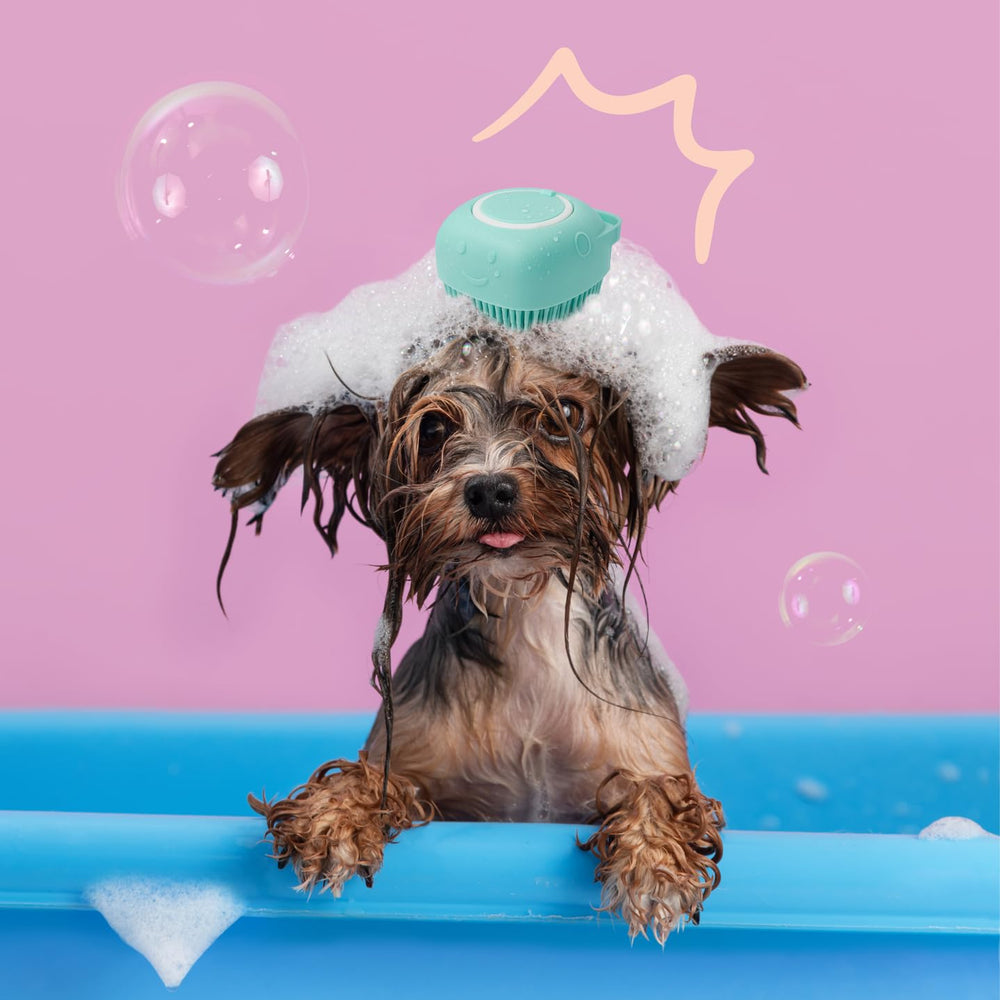 Experiencia de baño eficiente con HamInWay para dueños y mascotas