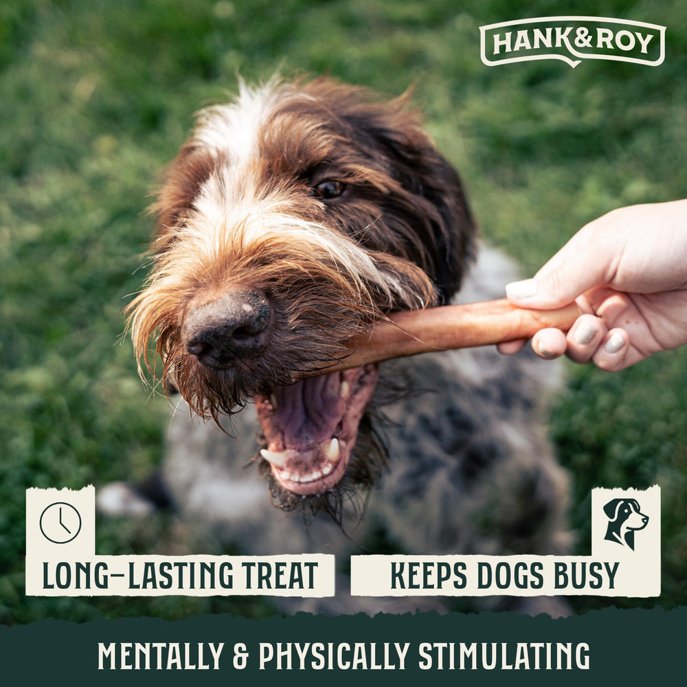 Palitos bully tamaño pequeño Hank & Roy de 6 pulgadas para razas pequeñas.