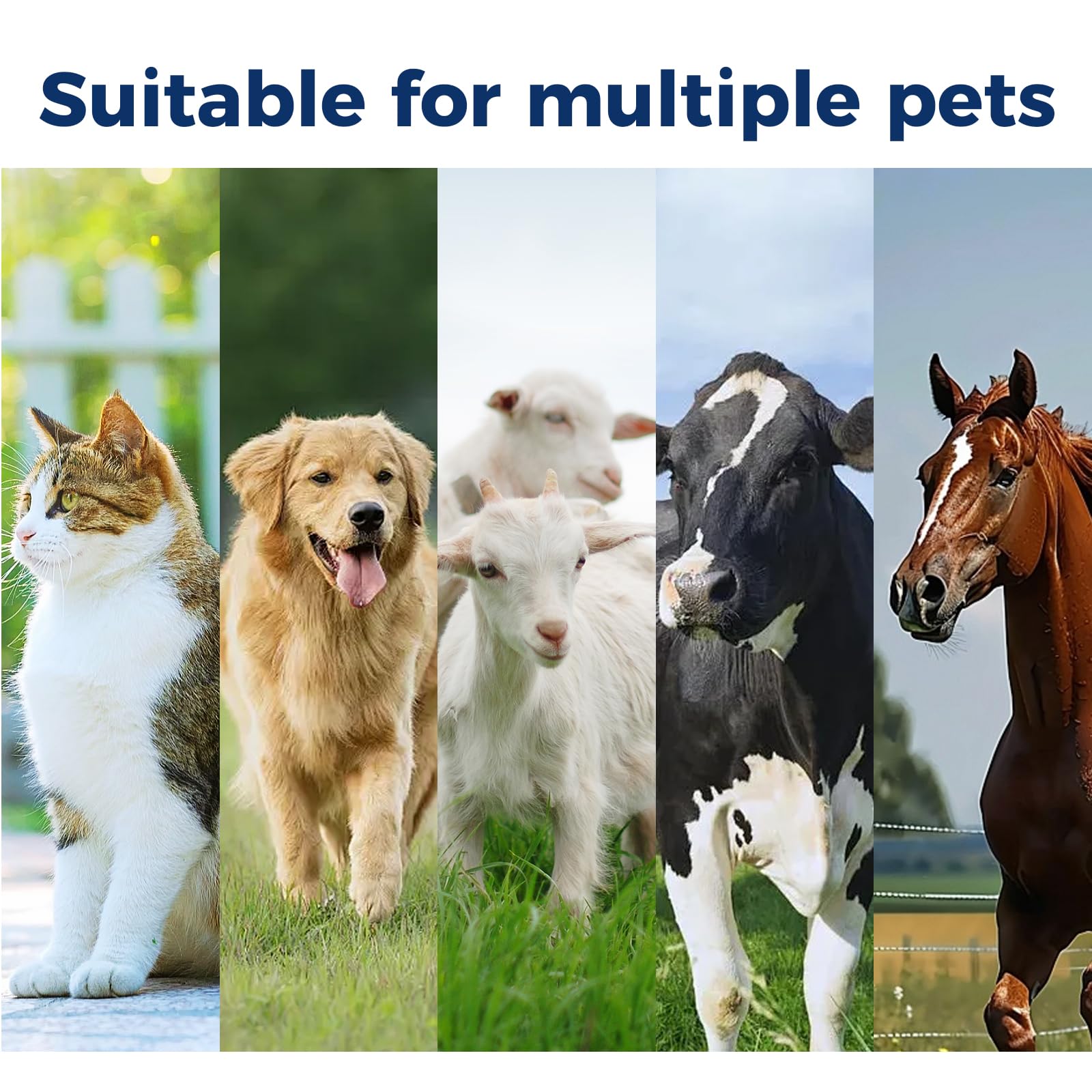 HAOYUSTORE cuidado de ojos para mascotas, ideal para rutinas diarias en casa.