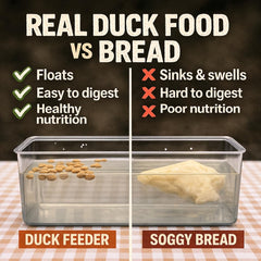 Hapetrails dieta aves acuáticas ayuda a patos y gansos con nutrientes clave.