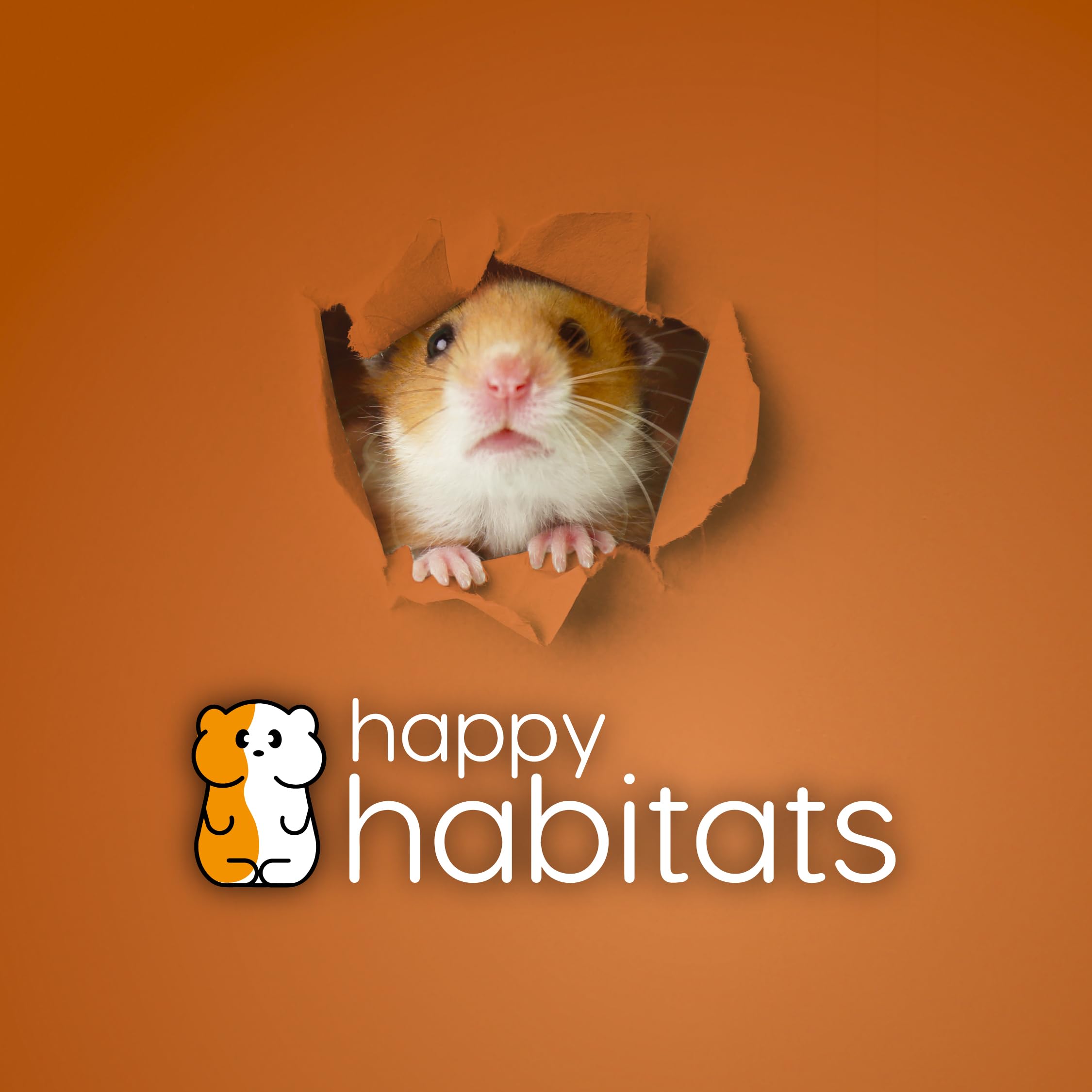 Happy Habitats bola resistente y segura para juegos dinámicos de roedores