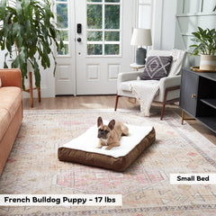 Cama Happy Hounds Daisy Deluxe, lado sherpa suave para calor y confort