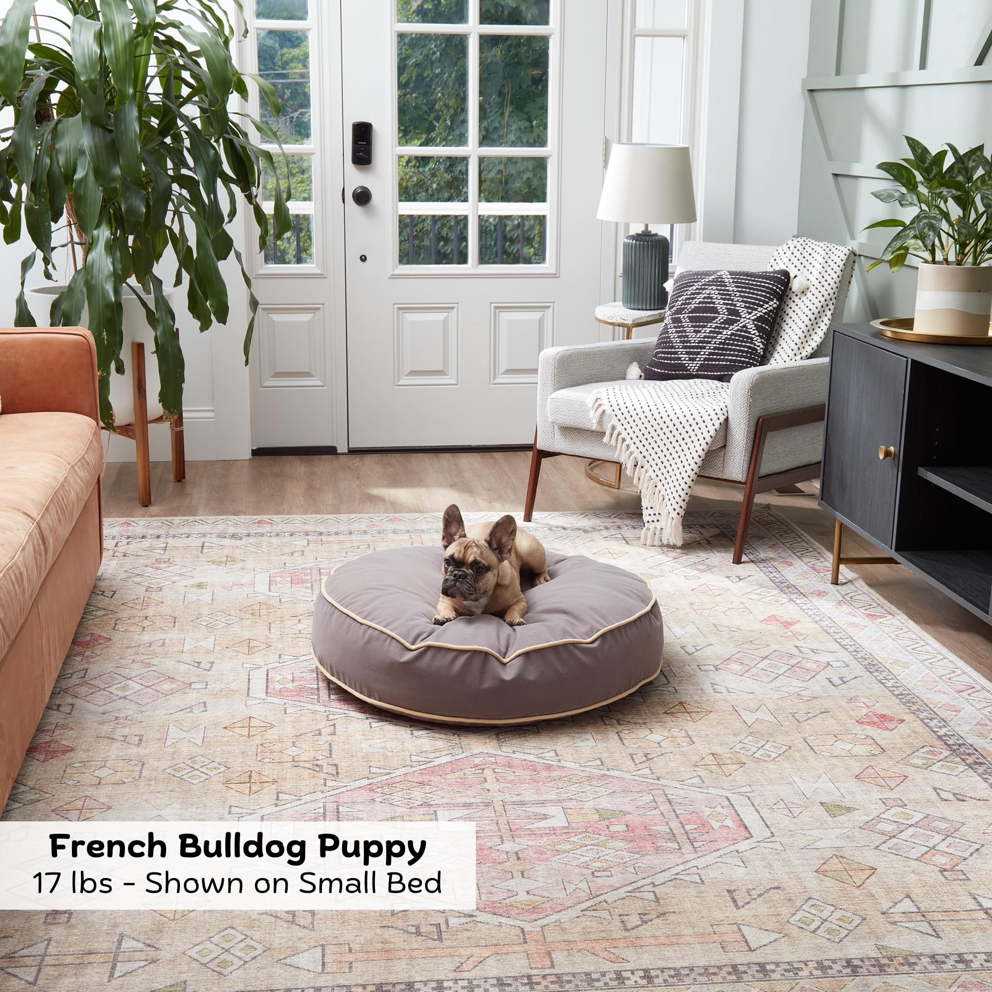 Happy Hounds Scout cama redonda dos caras, ideal para rotar entre lavados.