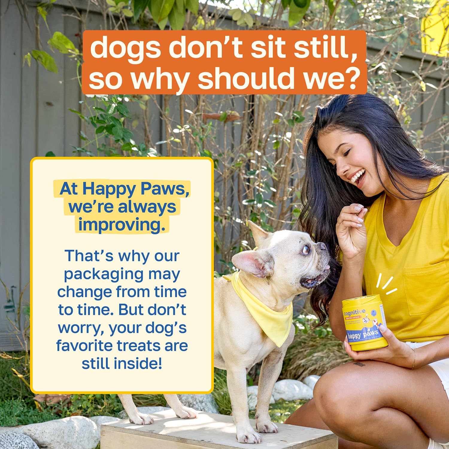 Cuidado cognitivo de Happy Paws para perros senior en casa.