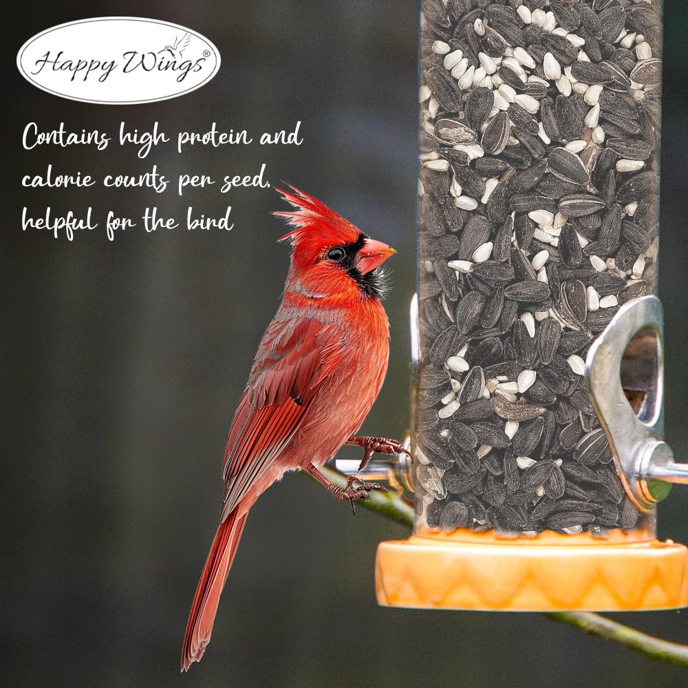 Happy Wings Cardinal Blend, jardín sin germinación, ayuda a mantener el área limpia.