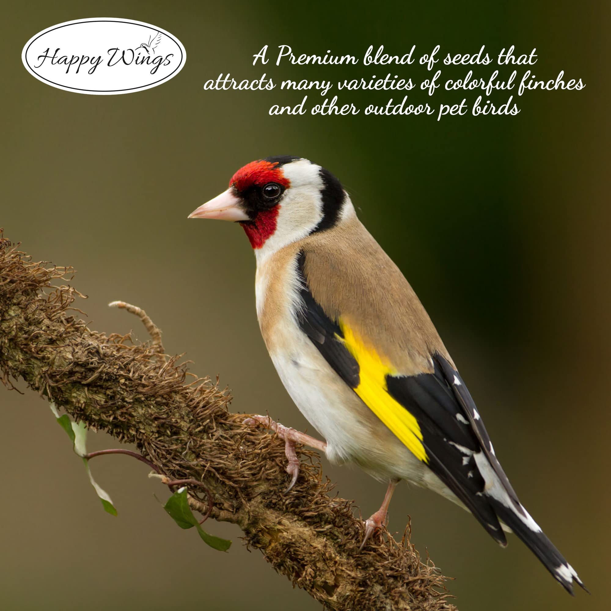 Aves silvestres visitan el comedero con Happy Wings Finch Blend.