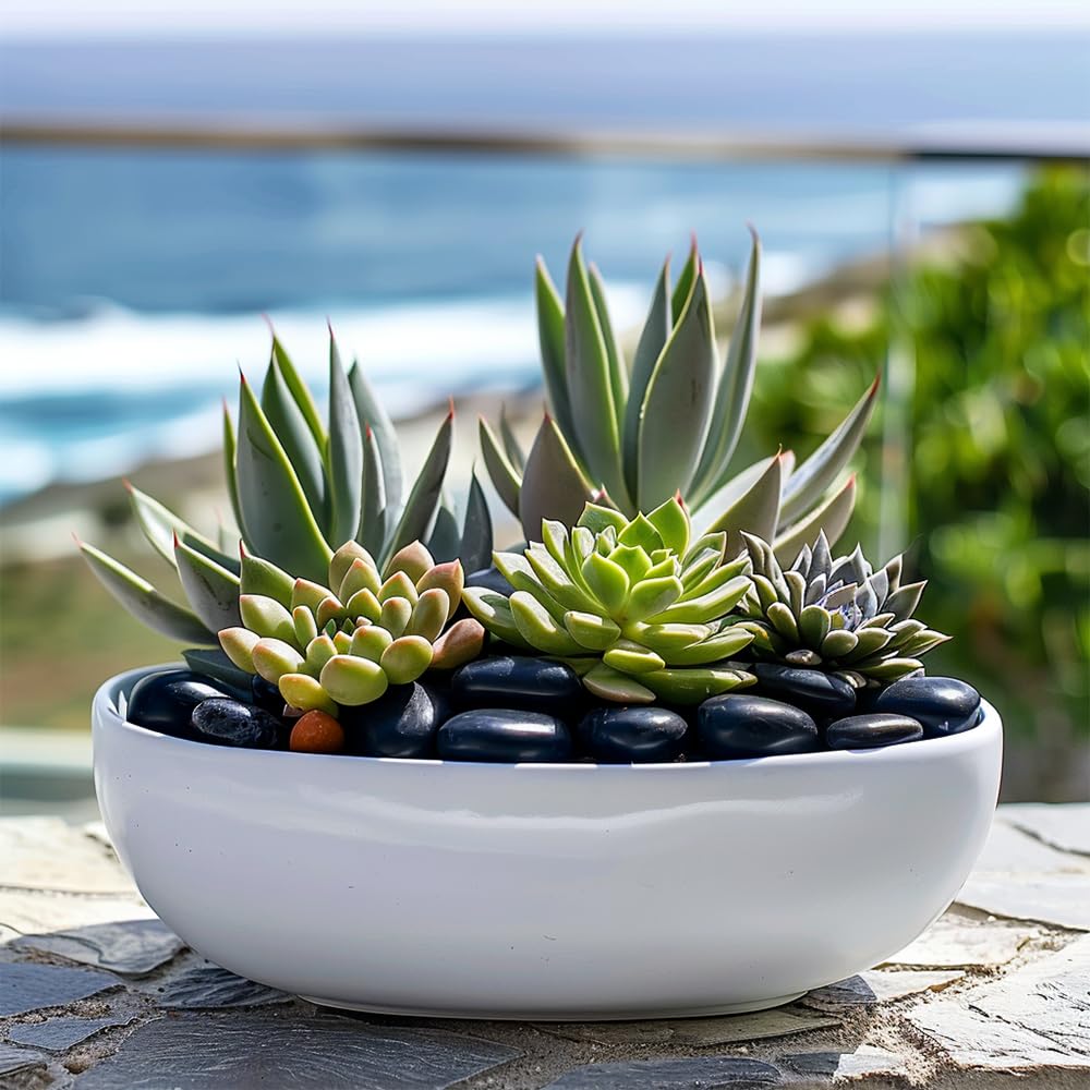 Piedras HappyFiller para decoración de jarrones y macetas.