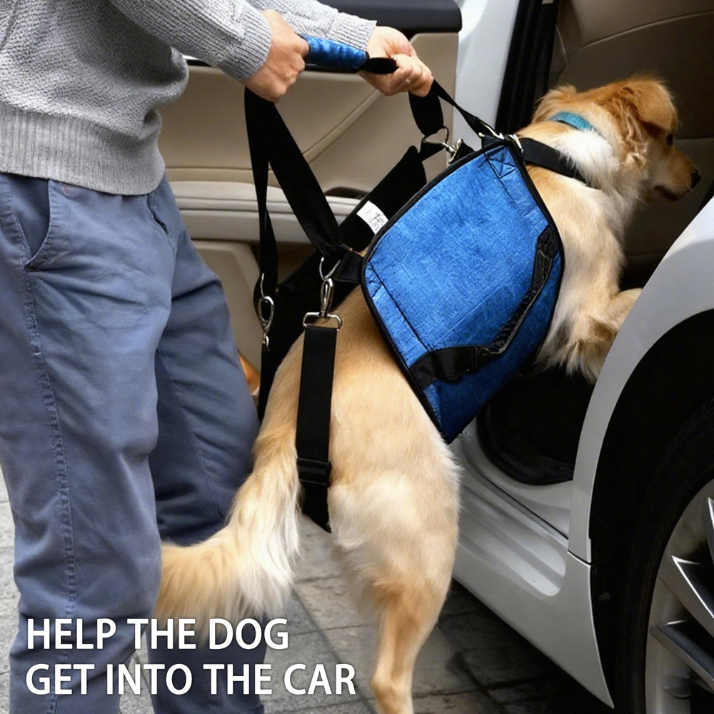 HAPPYHAO arnés con tallas ajustables, ideal para perros medianos a grandes.