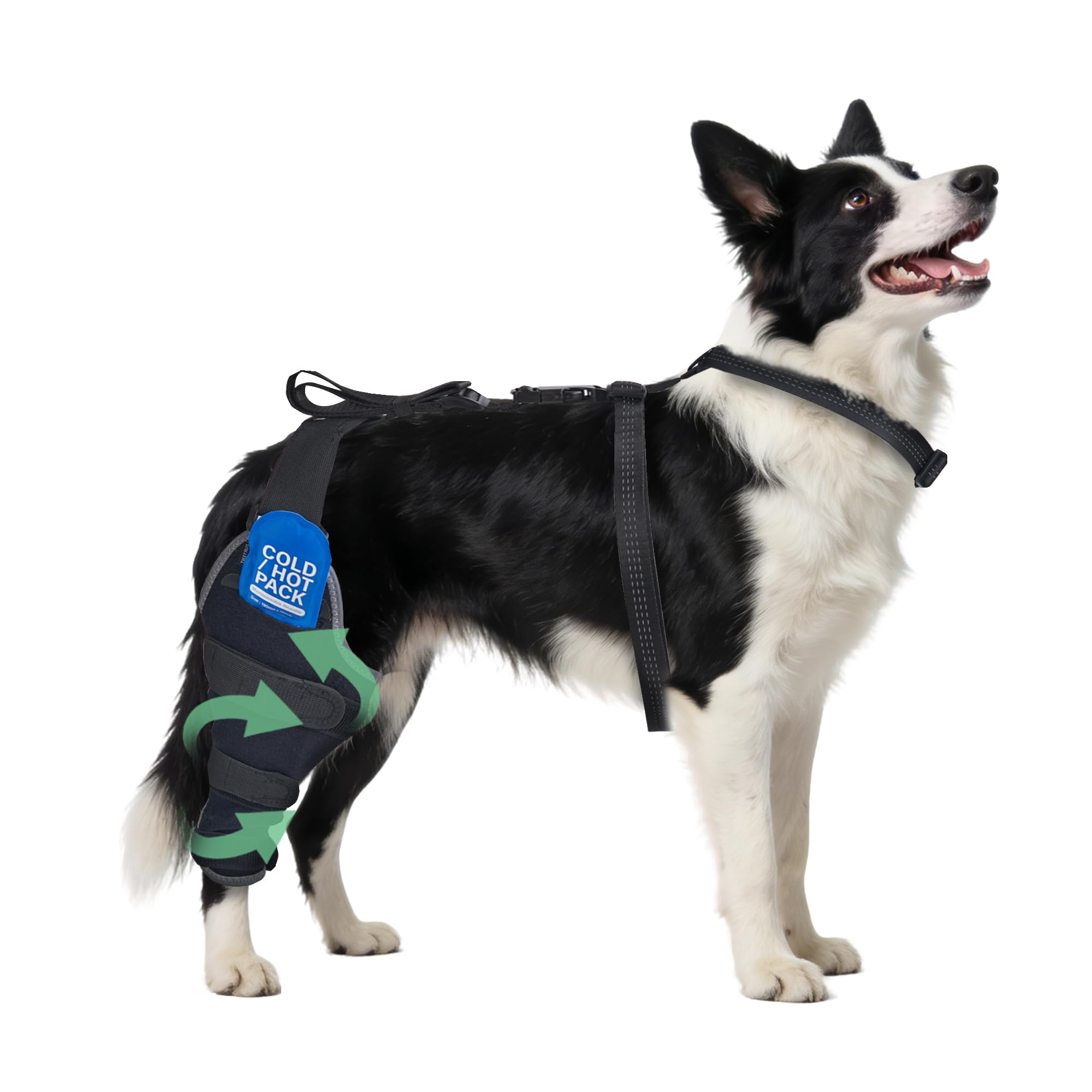 HAPPYHAO rodilla de perro, pierna derecha, talla M, soporte estable para movilidad