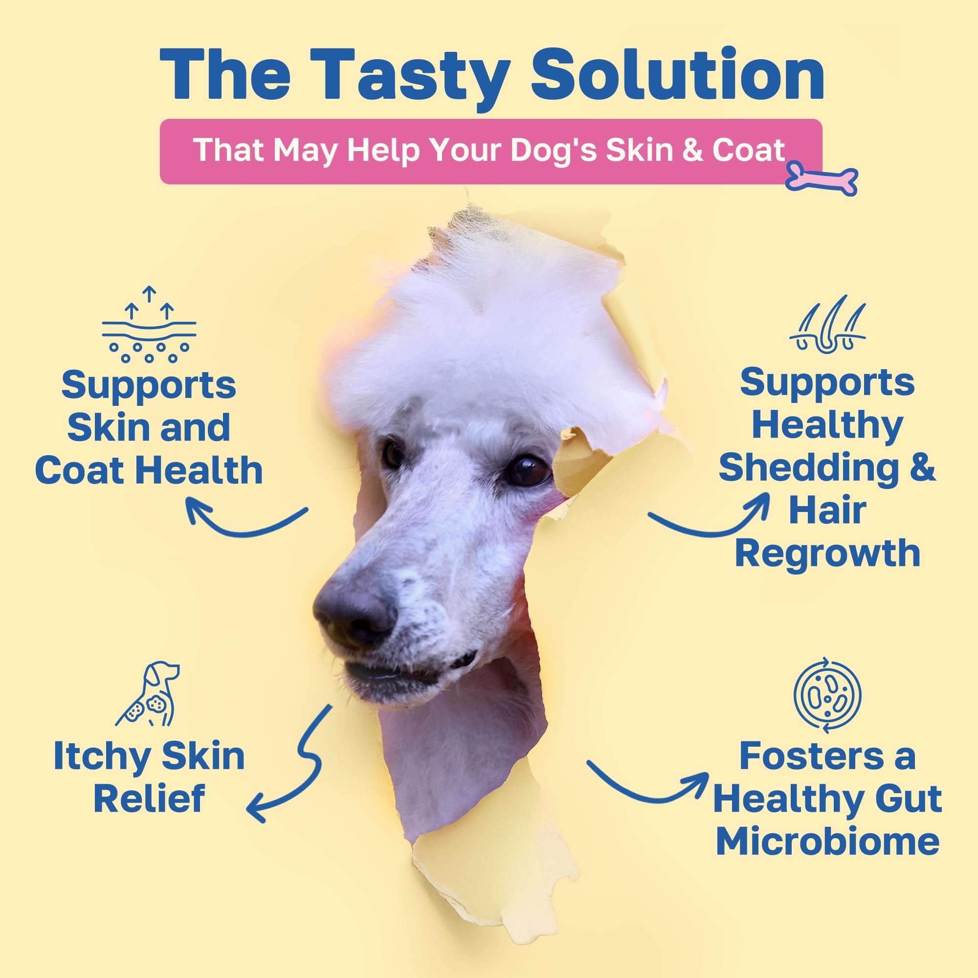 Happy Paws: primer plano de masticables para pelaje saludable