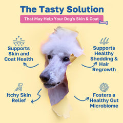Happy Paws: primer plano de masticables para pelaje saludable