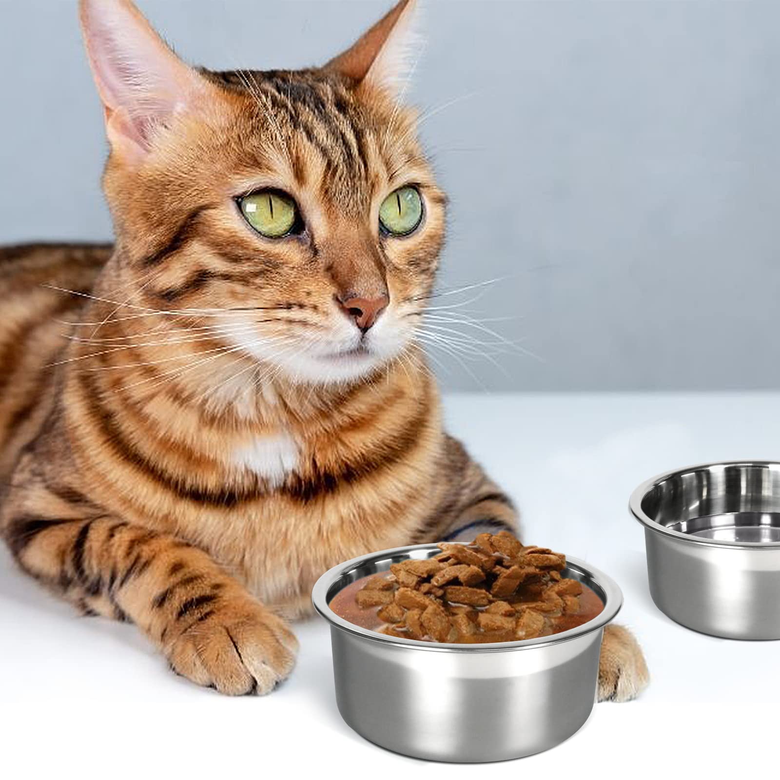 Harhana cuenco de 16 oz, capacidad ideal para mascotas pequeñas.
