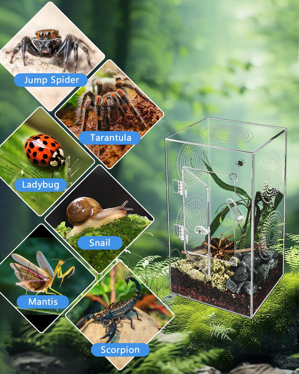 Harhana jaula permite personalizar con plantas y túneles para un hábitat atractivo.