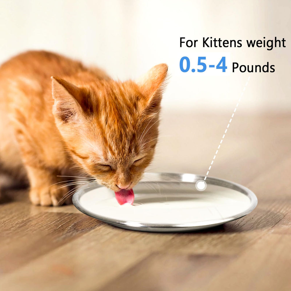 Harhana plato acero inoxidable boca amplia facilita comer para gatitos pequeños.