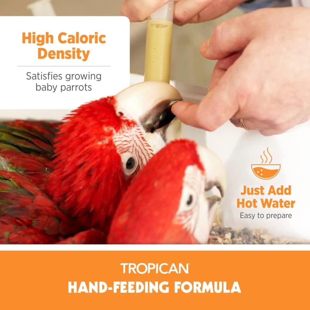 Hari Tropican: mezcla para cría de pájaros, fácil preparación, bolsa de 11 libras.