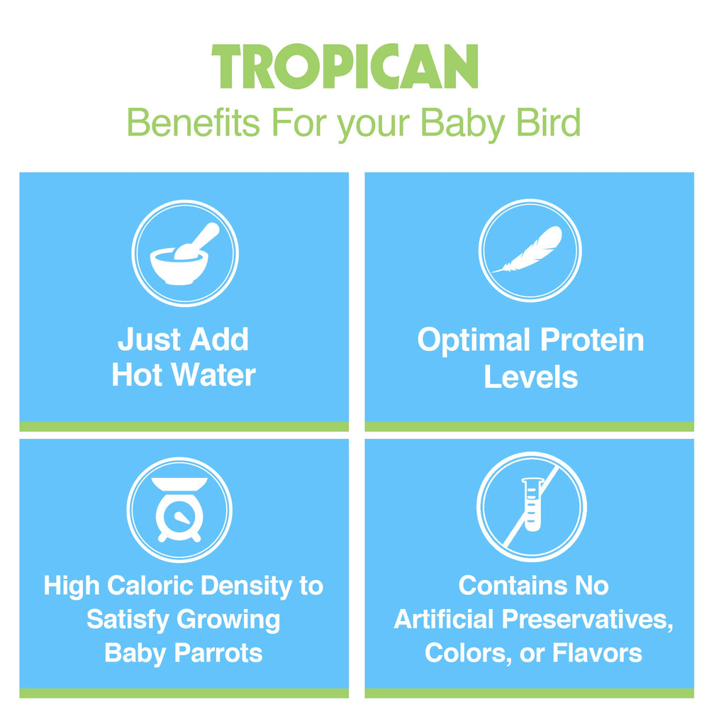 Hari Tropican, plumas brillantes, contribuye a un plumaje saludable.