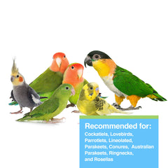 Legumbres cocidas en Hari Tropimix favorecen la digestión de las aves