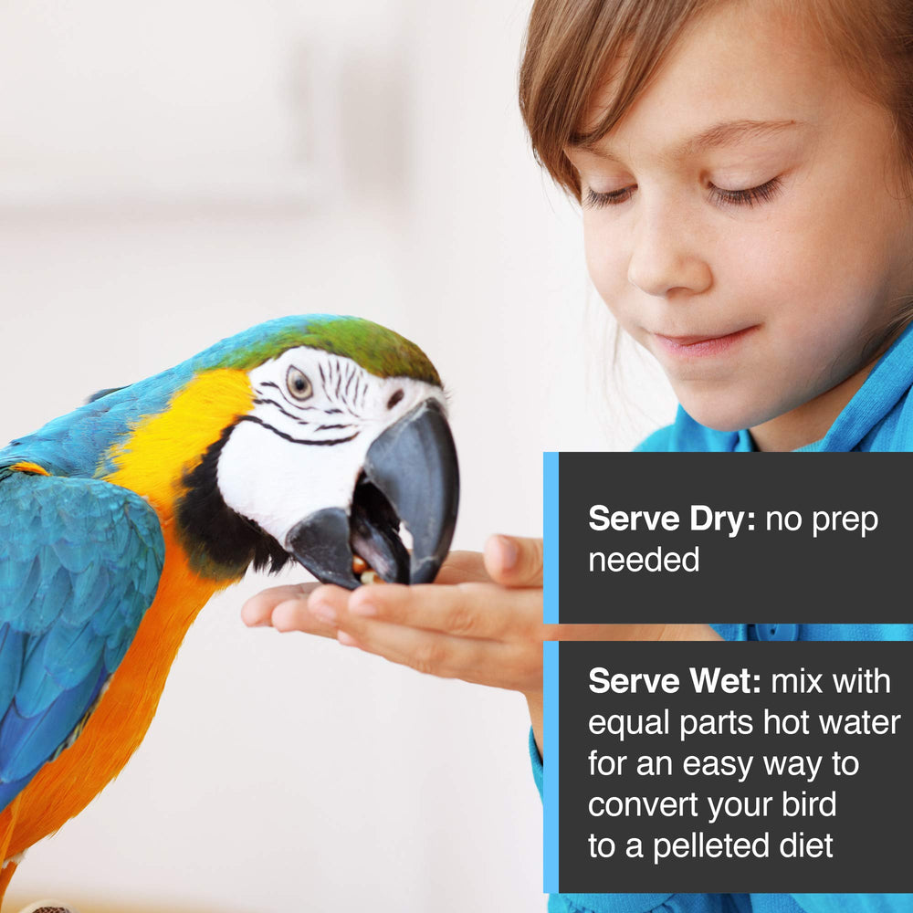 Aves comiendo Hari Tropimix, sabor nutritivo y equilibrado