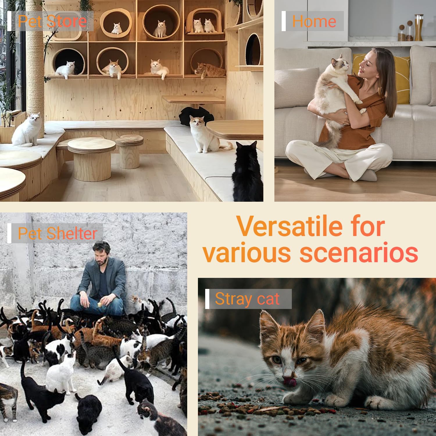 Harich CurLife cuenco desechable de viaje para perros pequeños y gatos.