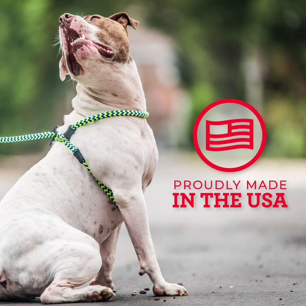 Arnés hecho en EE.UU. con Harness Lead, diseño seguro para paseos en Reef.