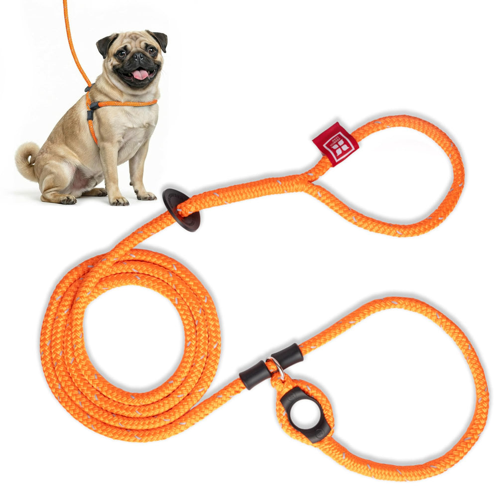 arnés Harness Lead: diseño sin tirones para paseos más tranquilos.