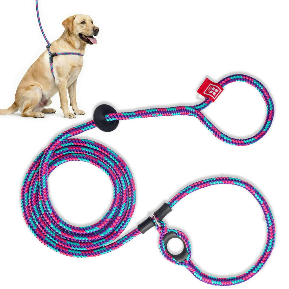 Arnés Harness Lead sin tirón para perro mediano en Reef, paseo más suave y controlado.